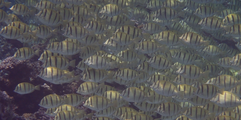 �V�~�΍�Ɂb�����I�[���C�������W�F���I�y�܂�����Ձz
���T�C�g